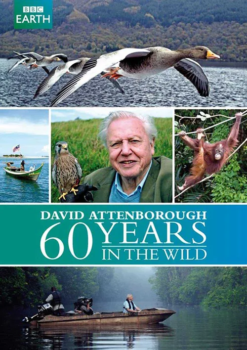 60 Năm Trong Hoang Dã (Attenborough: 60 Years In The Wild) 60 Năm Trong Hoang Dã (Attenborough: 60 Years In The Wild) vietsub