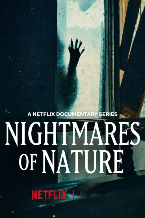 Ác Mộng Của Thiên Nhiên (Phần 1) (Nightmares Of Nature (Season 1)) Ác Mộng Của Thiên Nhiên (Phần 1) (Nightmares Of Nature (Season 1)) vietsub