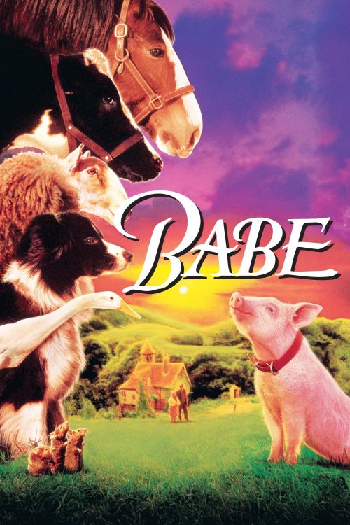 Babe: Chú Heo Chăn Cừu (Babe) Babe: Chú Heo Chăn Cừu (Babe) vietsub