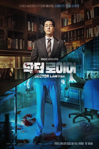 Bác Sĩ Luật Sư (Doctor Lawyer) vietsub