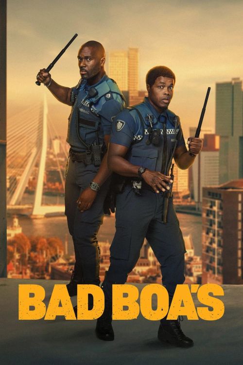 Bad Boas: Bộ Đôi Phá Án (Almost Cops) vietsub