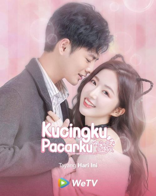 Bạn Gái Tôi Là Một Chú Mèo (My Cat-astrophic Lover) Bạn Gái Tôi Là Một Chú Mèo (My Cat-astrophic Lover) vietsub