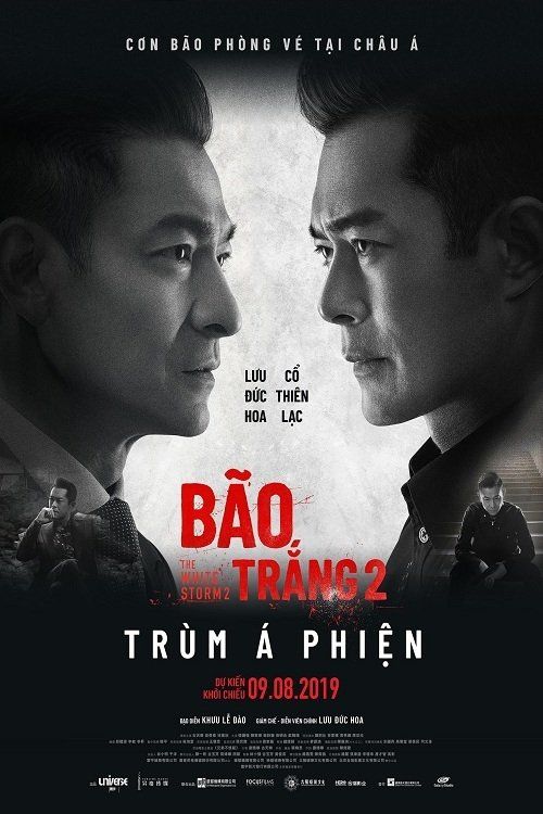 Bão Trắng 2: Trùm Á Phiện (掃毒2 天地對決 - The White Storm 2: Drug Lords) vietsub