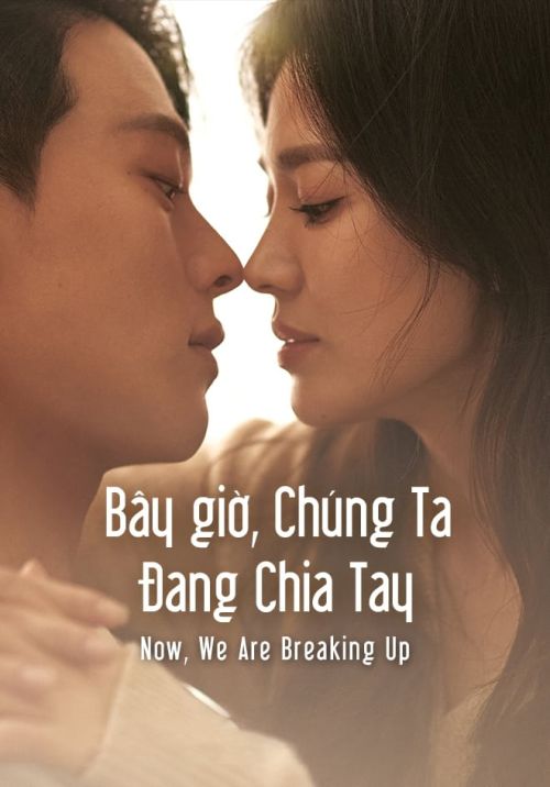 Bây Giờ, Chúng Ta Đang Chia Tay (Now, We Are Breaking Up) vietsub