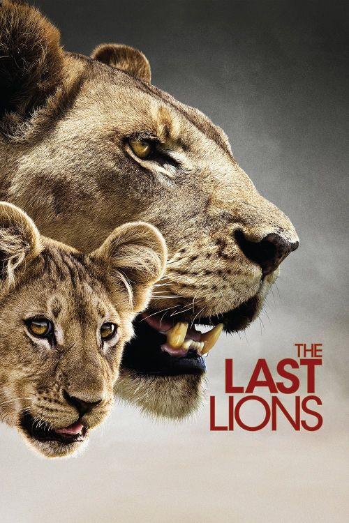 Bầy Sư Tử Cuối Cùng (The Last Lions) Bầy Sư Tử Cuối Cùng (The Last Lions) vietsub