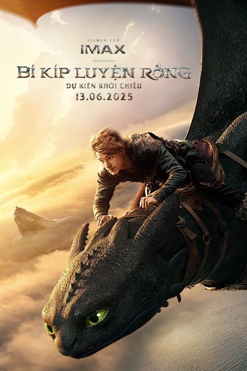 Bí Kíp Luyện Rồng (How To Train Your Dragon) vietsub