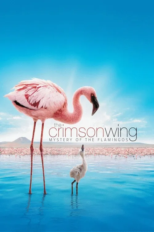 Bí Mật Của Chim Hồng Hạc (The Crimson Wing: Mystery of the Flamingos) Bí Mật Của Chim Hồng Hạc (The Crimson Wing: Mystery of the Flamingos) vietsub