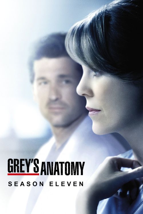 Ca Phẫu Thuật Của Grey (Phần 11) (Grey's Anatomy (Season 11)) vietsub