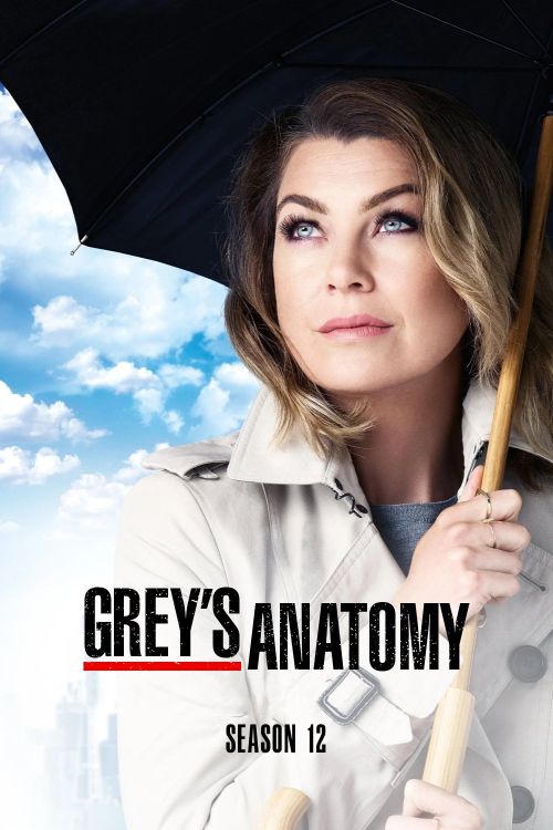 Ca Phẫu Thuật Của Grey (Phần 12) (Grey's Anatomy (Season 12)) vietsub