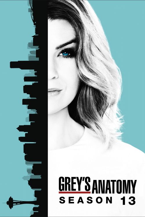 Ca Phẫu Thuật Của Grey (Phần 13) (Grey's Anatomy (Season 13)) vietsub