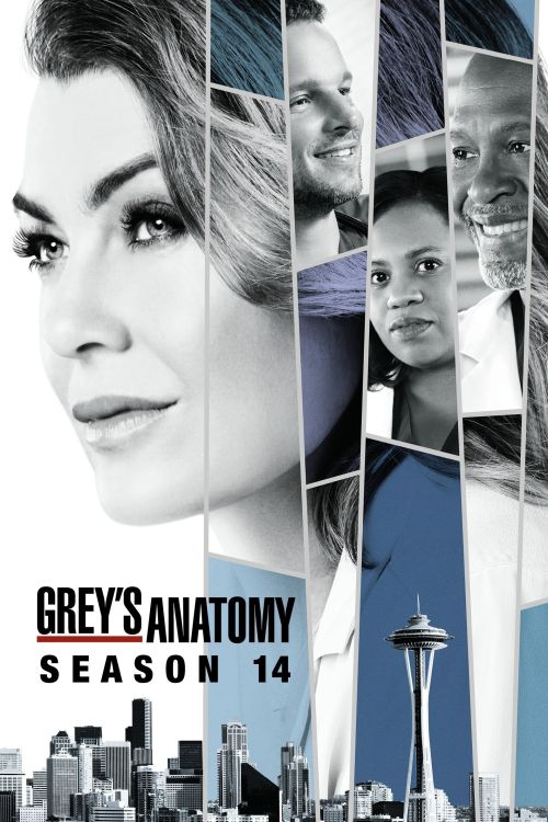 Ca Phẫu Thuật Của Grey (Phần 14) (Grey's Anatomy (Season 14)) vietsub