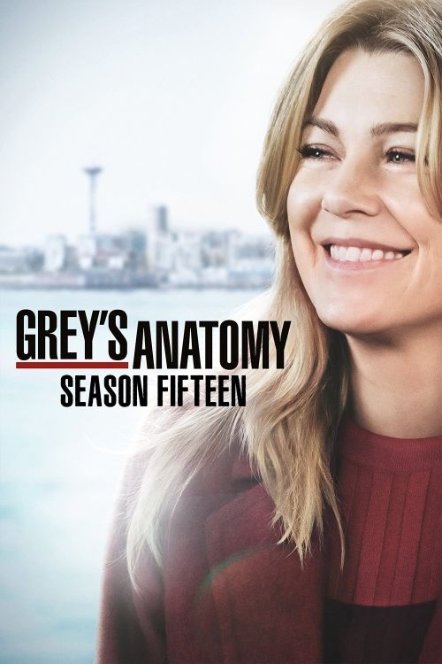 Ca Phẫu Thuật Của Grey (Phần 15) (Grey's Anatomy (Season 15)) vietsub