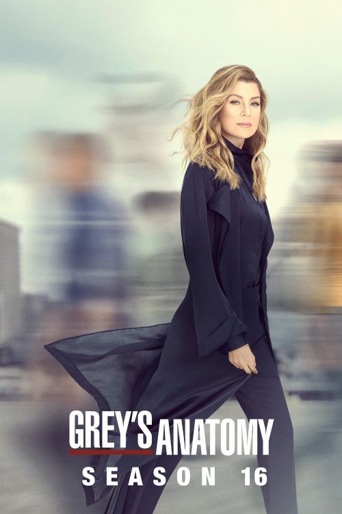 Ca Phẫu Thuật Của Grey (Phần 16) (Grey's Anatomy (Season 16)) vietsub
