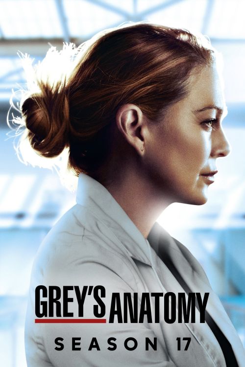 Ca Phẫu Thuật Của Grey (Phần 17) (Grey's Anatomy (Season 17)) vietsub