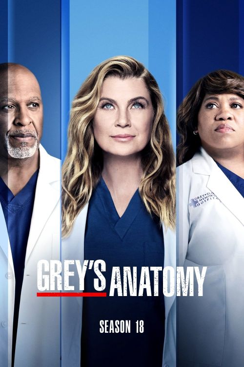 Ca Phẫu Thuật Của Grey (Phần 18) (Grey's Anatomy (Season 18)) vietsub
