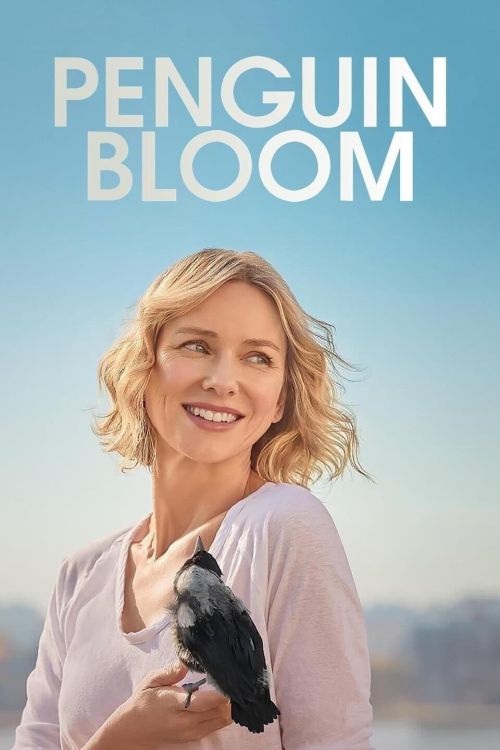 Cánh Cụt Nhà Bloom (Penguin Bloom) vietsub