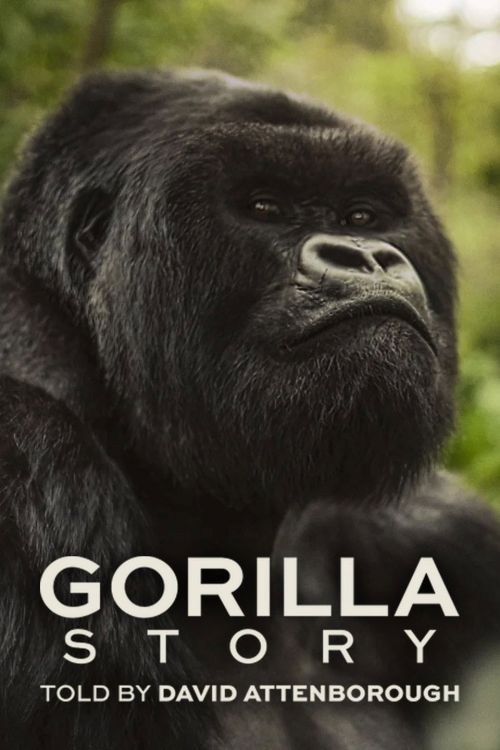 Câu Chuyện Khỉ Đột: Qua Lời Kể Của David Attenborough (A Gorilla Story: Told By David Attenborough) vietsub