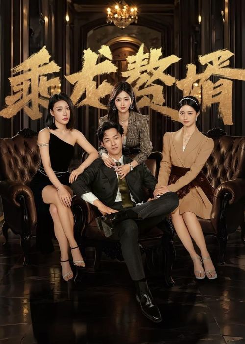 Chàng Rể Tài Ba (The Best Man) vietsub