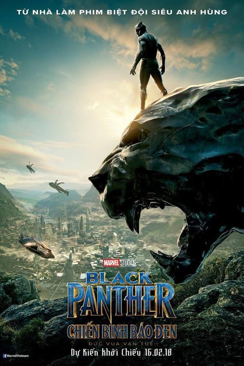 Chiến Binh Báo Đen (Black Panther) vietsub