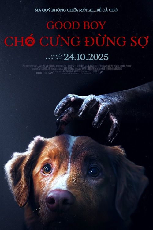 Chó Cưng Đừng Sợ (Good Boy) vietsub