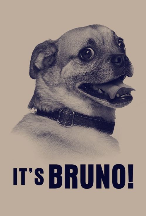 Chú chó Bruno (It's Bruno!) Chú chó Bruno (It's Bruno!) vietsub