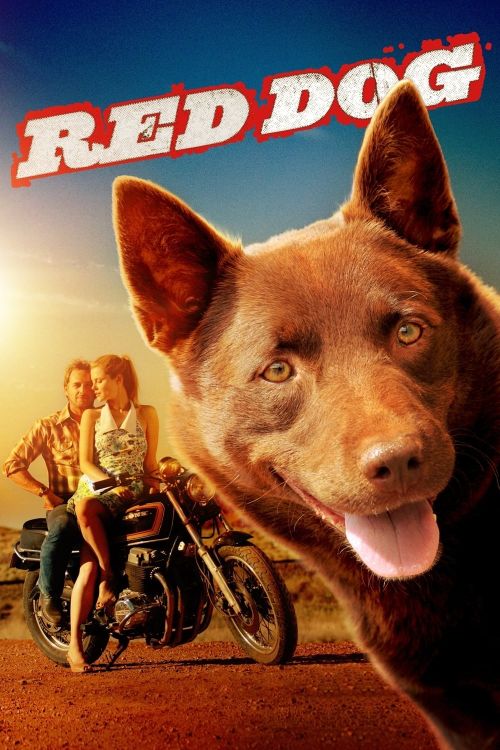 Chú Chó Đỏ (Red Dog) Chú Chó Đỏ (Red Dog) vietsub