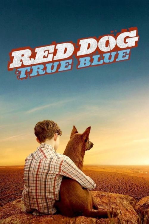 Chú Chó Trung Thành 2 (Red Dog 2: True Blue) Chú Chó Trung Thành 2 (Red Dog 2: True Blue) vietsub