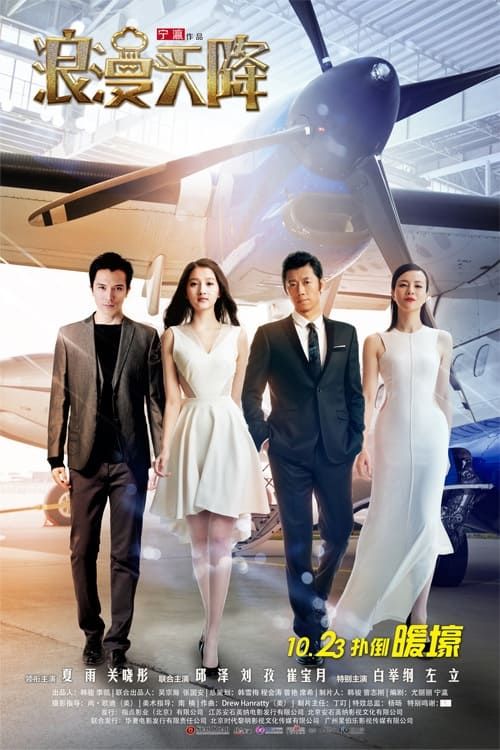 Chuyến Bay Sóng Gió (Romance Out Of The Blue) vietsub