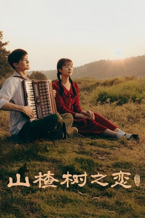 Chuyện Tình Cây Sơn Tra (When The Hawthorn Blooms) vietsub