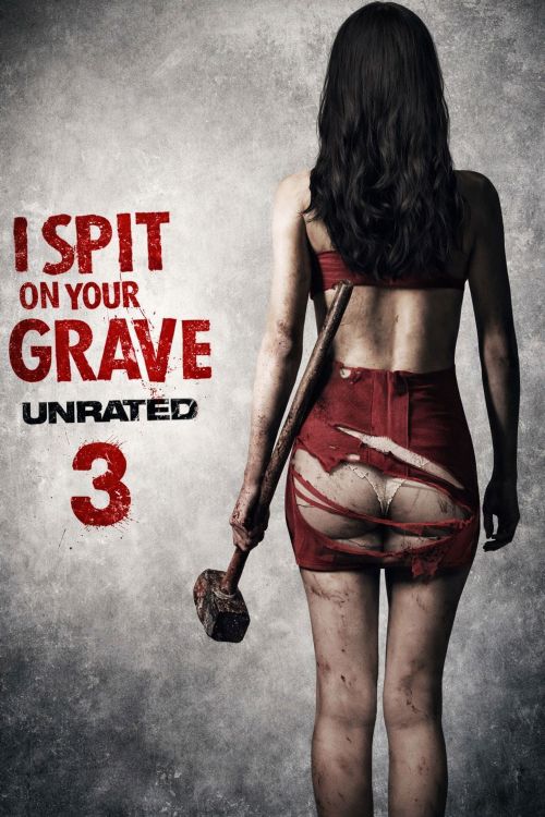 Cô Gái Báo Thù 3 (I Spit on Your Grave 3: Vengeance Is Mine) vietsub