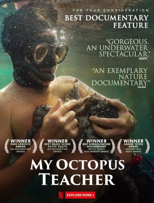 Cô Giáo Bạch Tuộc (My Octopus Teacher) vietsub