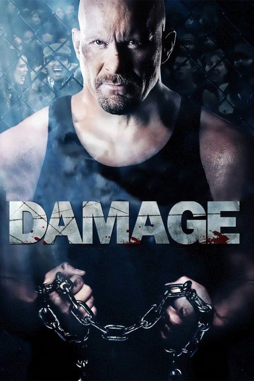 Cơn Cuồng Nộ (Damage) Cơn Cuồng Nộ (Damage) vietsub