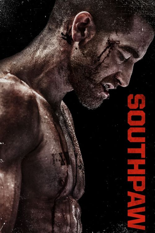 Con Đường Võ Sĩ (Southpaw) Con Đường Võ Sĩ (Southpaw) vietsub