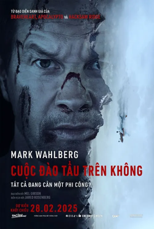 Cuộc Đào Tẩu Trên Không (Flight Risk) vietsub