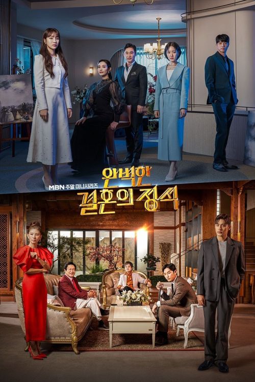 Cuộc Hôn Nhân Hoàn Hảo (Perfect Marriage Revenge) vietsub