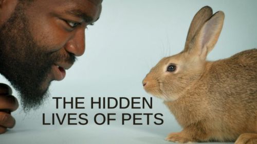 Cuộc Sống Bí Mật Của Thú Cưng (The Hidden Lives Of Pets) Cuộc Sống Bí Mật Của Thú Cưng (The Hidden Lives Of Pets) vietsub