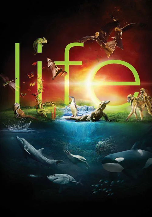 Cuộc Sống Hoang Dã (BBC: Life) Cuộc Sống Hoang Dã (BBC: Life) vietsub