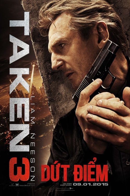 Dứt Điểm (Taken 3) vietsub