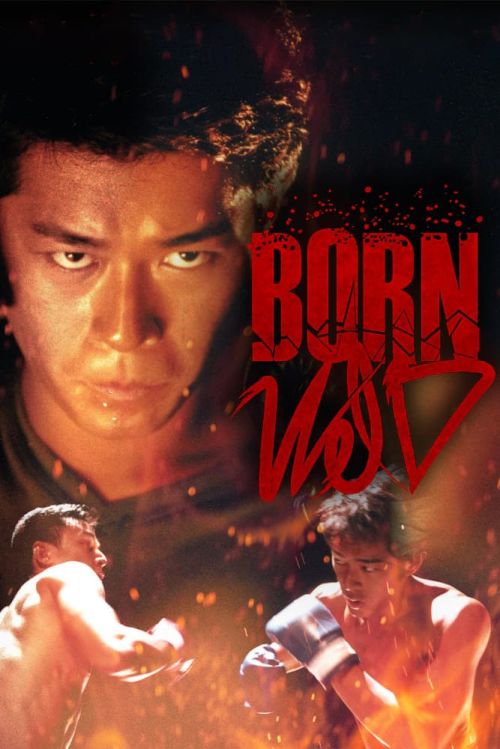 Dã Chiến Giang Hồ (Born Wild) Dã Chiến Giang Hồ (Born Wild) vietsub