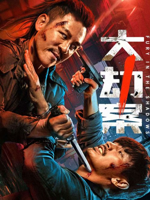 Đại Kiếp Án (Fury In The Shadows) vietsub