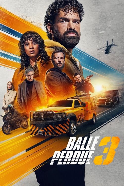 Đạn Lạc 3 (Lost Bullet 3) vietsub
