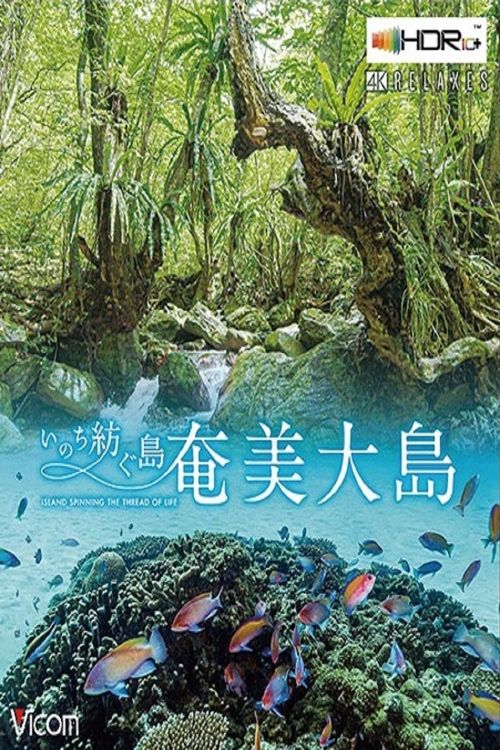 Đảo Amami Oshima (Amami Oshima Island) Đảo Amami Oshima (Amami Oshima Island) vietsub