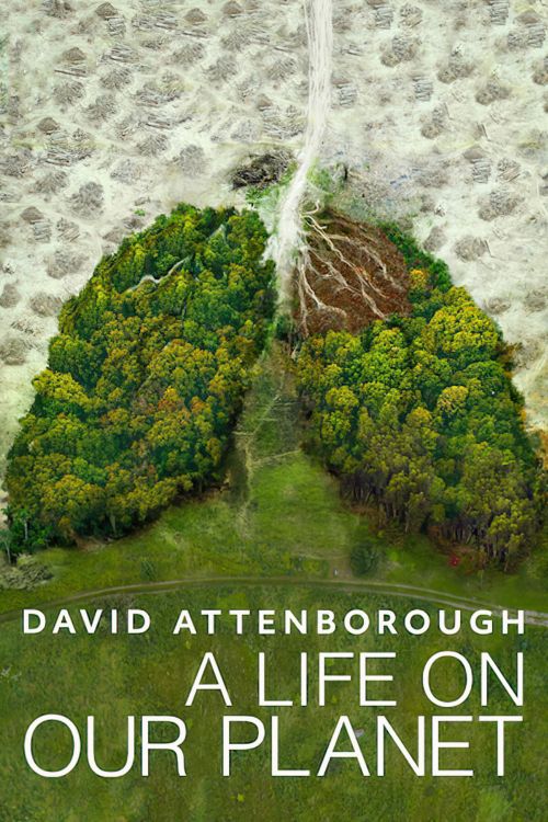 David Attenborough: Một Cuộc Đời Trên Trái Đất (David Attenborough: A Life On Our Planet) David Attenborough: Một Cuộc Đời Trên Trái Đất (David Attenborough: A Life On Our Planet) vietsub