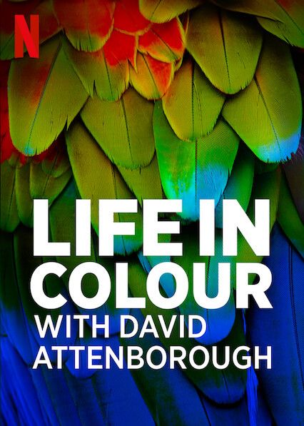 David Attenborough: Sự Sống Đầy Màu Sắc (Life In Colour With David Attenborough) David Attenborough: Sự Sống Đầy Màu Sắc (Life In Colour With David Attenborough) vietsub