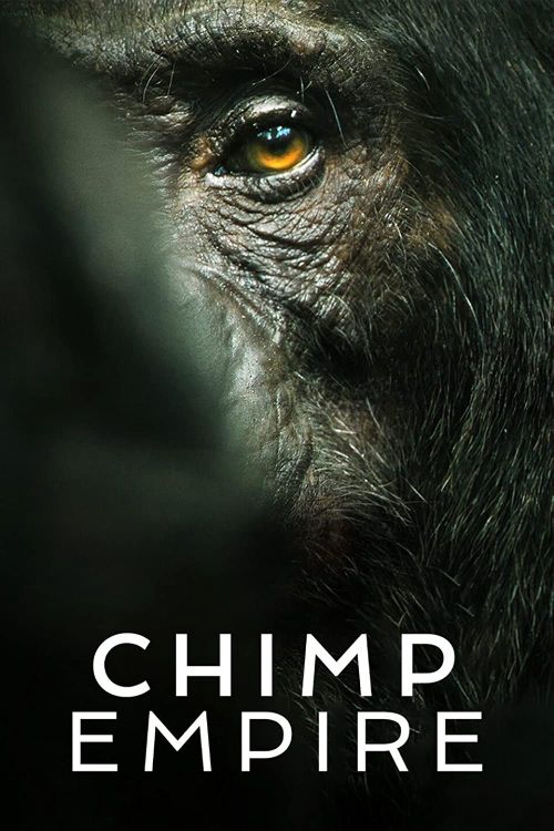 Đế Chế Tinh Tinh (Chimp Empire) Đế Chế Tinh Tinh (Chimp Empire) vietsub