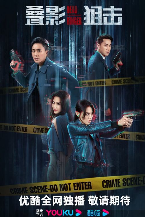 Điệp Ảnh Truy Kích (Dead Ringer) vietsub