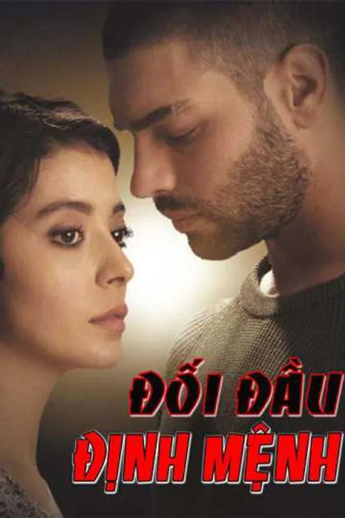 Đối Đầu Định Mệnh Đối Đầu Định Mệnh vietsub