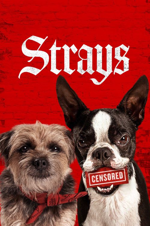 Đời Quá Chó (Những Chú Chó Bụi Đời) (Strays) vietsub