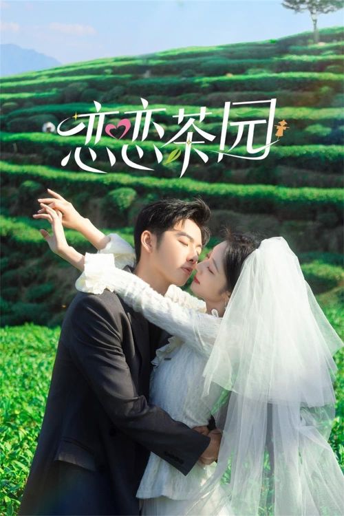 Đồi Trà Tình Yêu (Love in the Tea Garden) vietsub