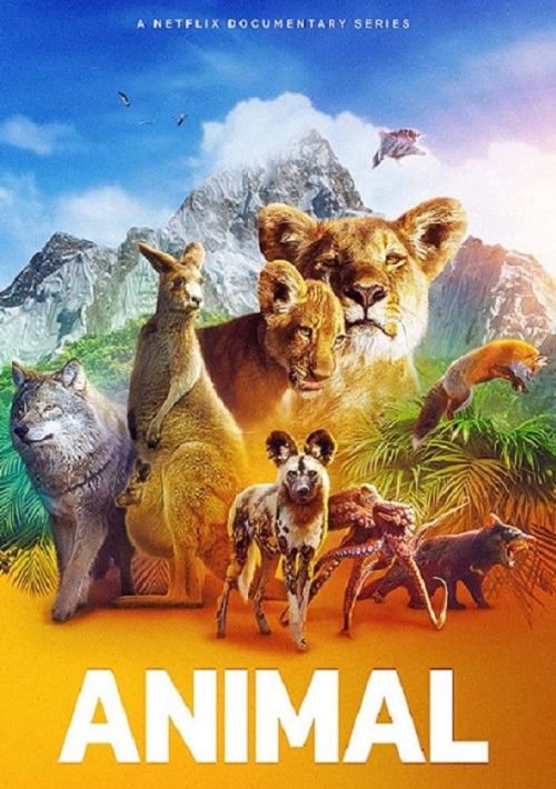Động Vật (Phần 2) (Animal (Season 2)) Động Vật (Phần 2) (Animal (Season 2)) vietsub